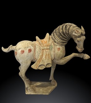 Coppia cavalli dinastia Tang (618-907) 